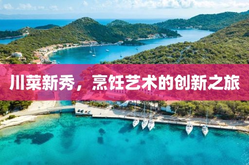 川菜新秀，烹饪艺术的创新之旅