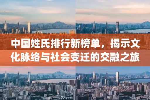 中国姓氏排行新榜单，揭示文化脉络与社会变迁的交融之旅