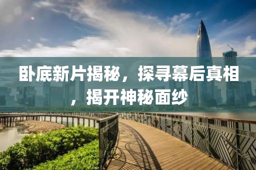 卧底新片揭秘，探寻幕后真相，揭开神秘面纱