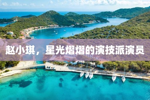 赵小琪，星光熠熠的演技派演员