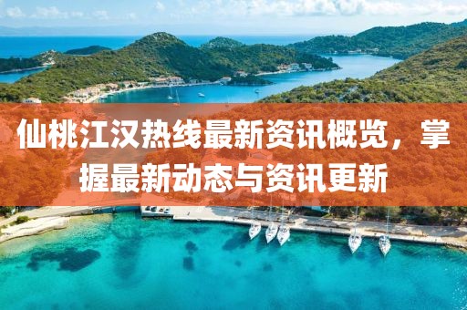 仙桃江汉热线最新资讯概览，掌握最新动态与资讯更新