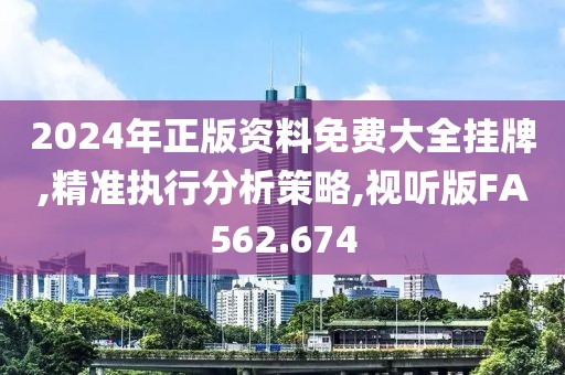 2024年正版资料免费大全挂牌,精准执行分析策略,视听版FA562.674