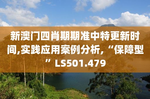 新澳门四肖期期准中特更新时间,实践应用案例分析,“保障型”LS501.479