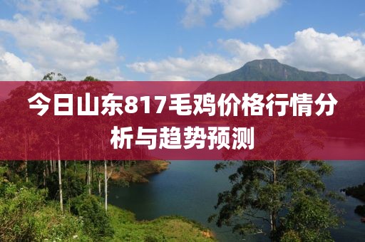 今日山东817毛鸡价格行情分析与趋势预测