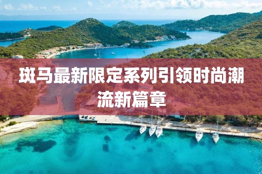 斑马最新限定系列引领时尚潮流新篇章