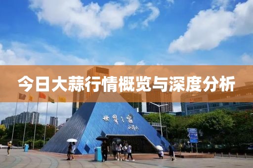 今日大蒜行情概览与深度分析