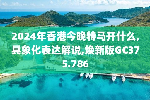 2024年香港今晚特马开什么,具象化表达解说,焕新版GC375.786