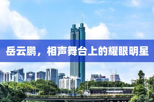 岳云鹏，相声舞台上的耀眼明星
