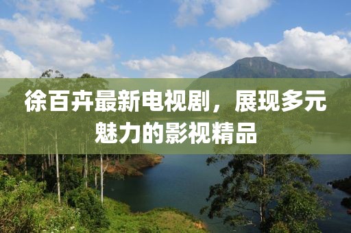 徐百卉最新电视剧，展现多元魅力的影视精品