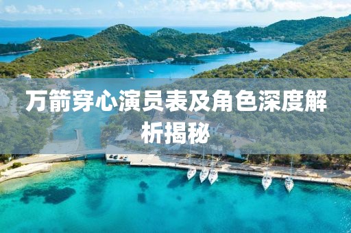 万箭穿心演员表及角色深度解析揭秘