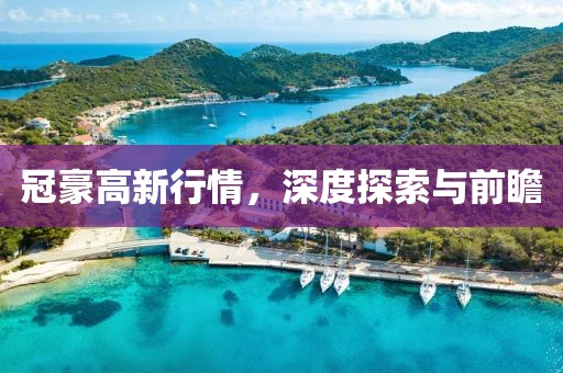 冠豪高新行情，深度探索与前瞻