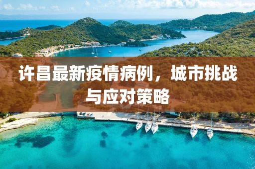 许昌最新疫情病例，城市挑战与应对策略