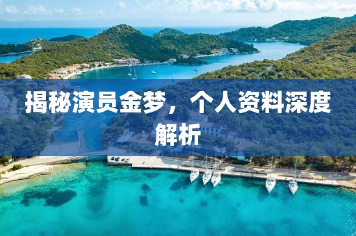 揭秘演员金梦，个人资料深度解析