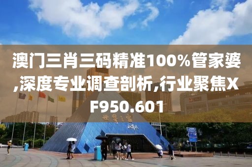 澳门三肖三码精准100%管家婆,深度专业调查剖析,行业聚焦XF950.601