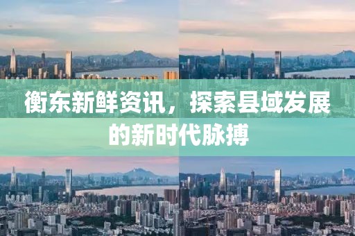 衡东新鲜资讯，探索县域发展的新时代脉搏