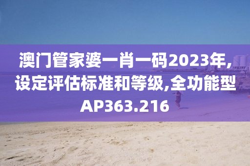 澳门管家婆一肖一码2023年,设定评估标准和等级,全功能型AP363.216