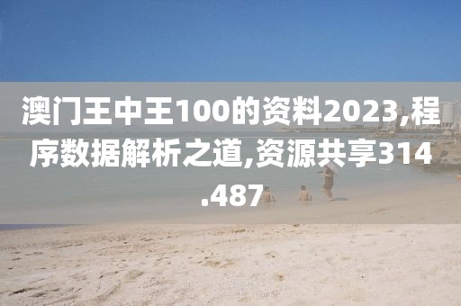 澳门王中王100的资料2023,程序数据解析之道,资源共享314.487