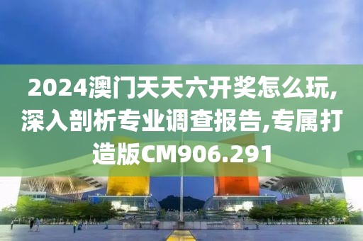2024澳门天天六开奖怎么玩,深入剖析专业调查报告,专属打造版CM906.291