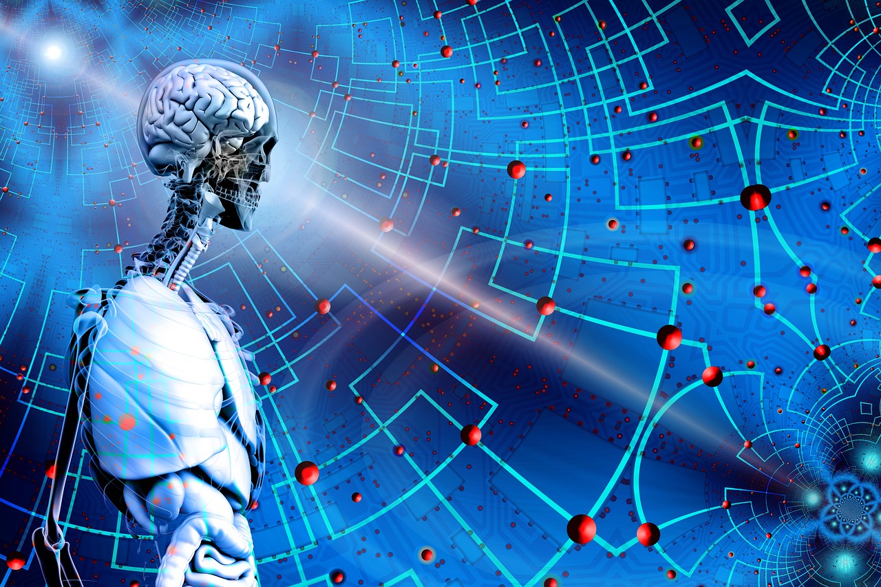 2024天天彩全年免费资料,数据分析与科学洞察,璀璨版JT420.27