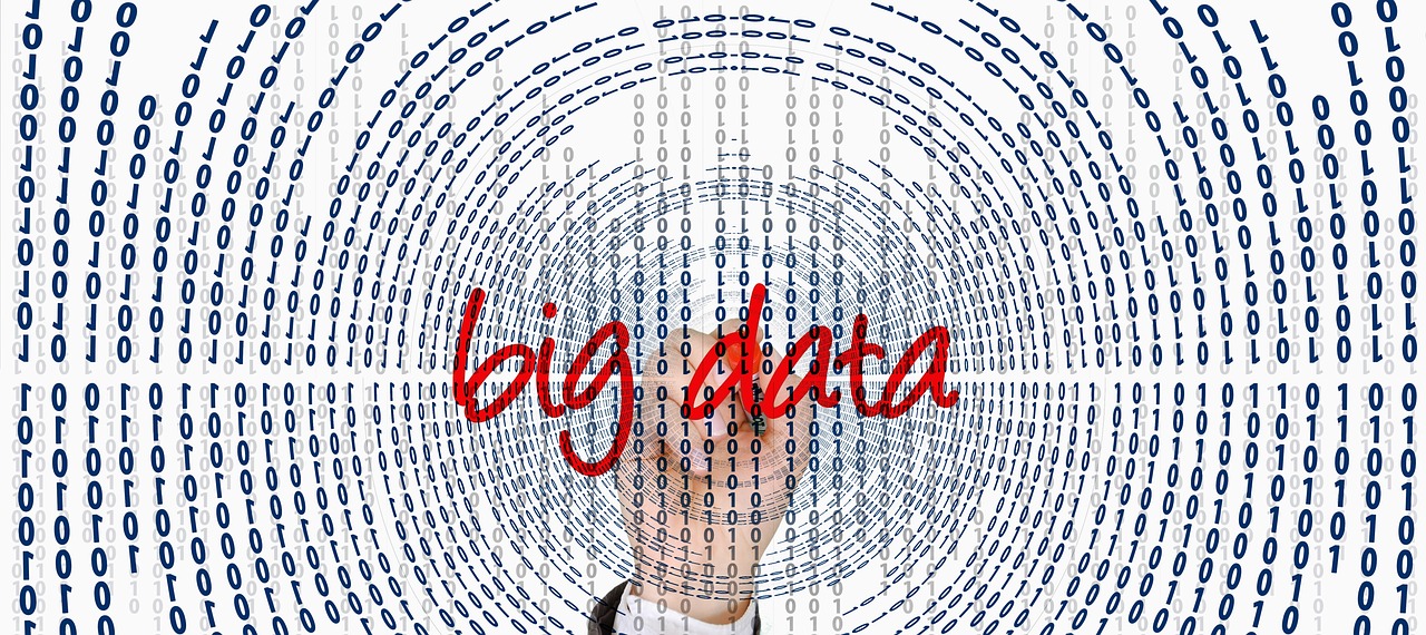 2024澳门特马今晚开奖56期的,现场数据收集与设计，投资版3354.4831