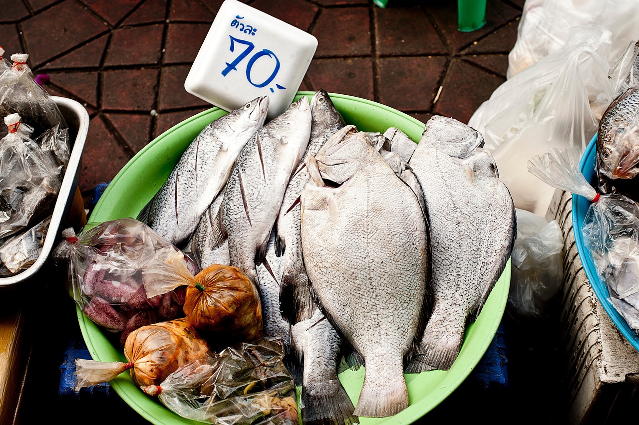 磷虾油价格探析，市场走势与影响因素分析