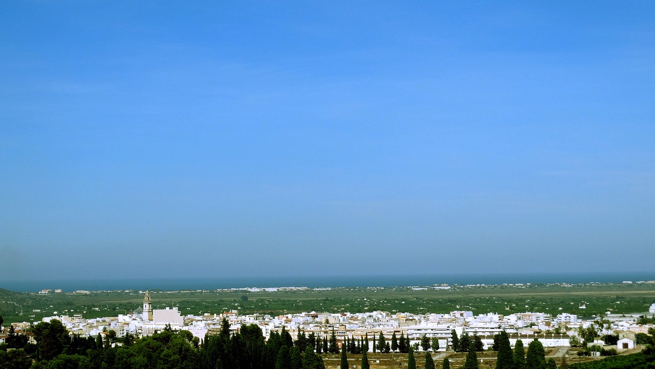 中国联通最新股价动态与深度市场解读